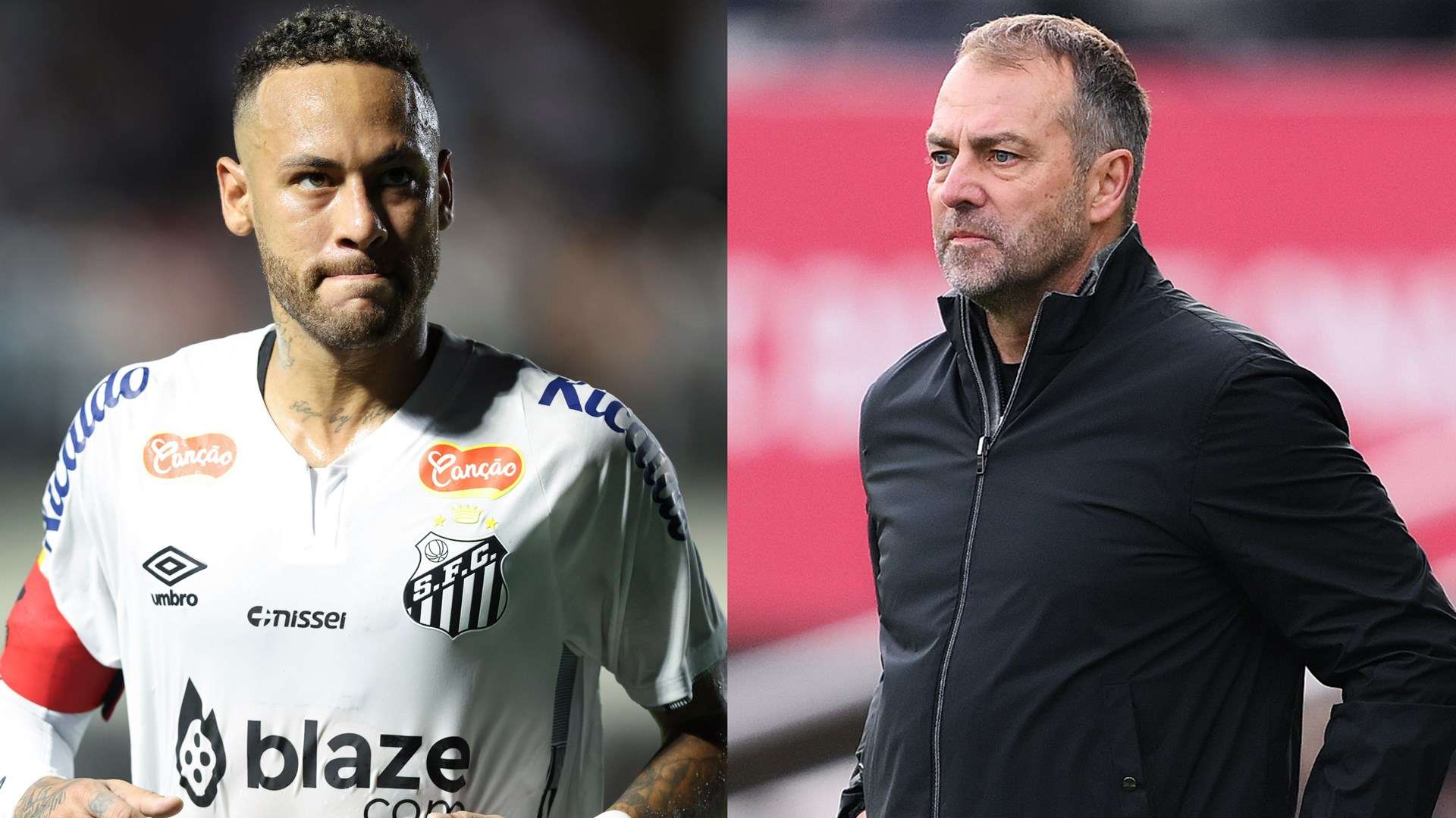 近年来许多 近年来许多