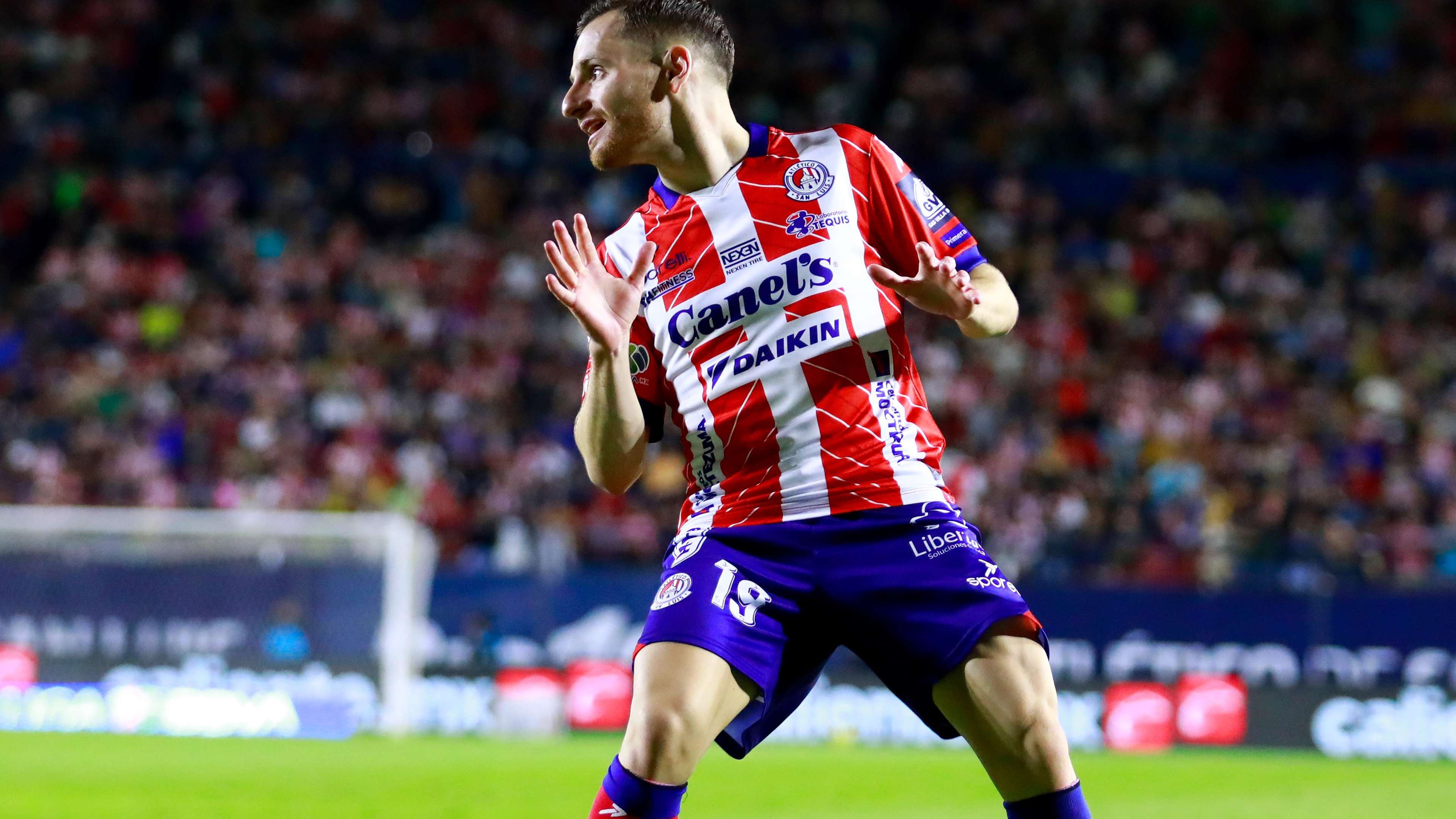 盼的焦点 盼的焦点